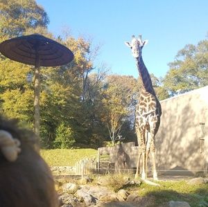 Meet your Posher, Joana